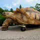 Illustration for article titled Tortoise Gets Chair Wheel Prosthesis to Replace Missing Leg